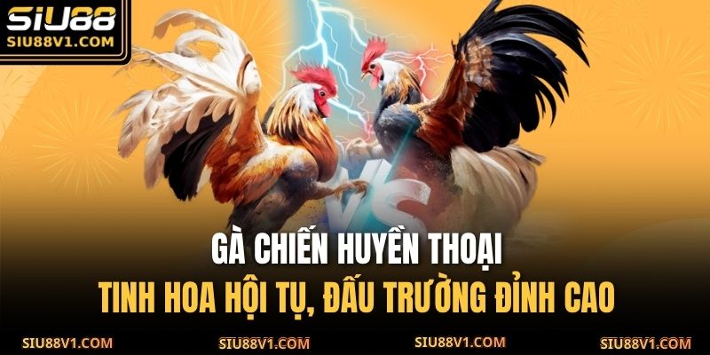 gà chiến huyền thoại