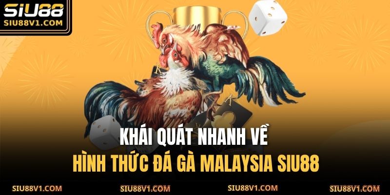 Khái quát nhanh về hình thức đá gà Malaysia SIU88 